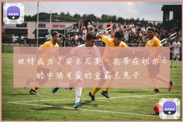 坎特成为了安东尼奥·孔蒂在切尔西的中场可爱的金霸王兔子