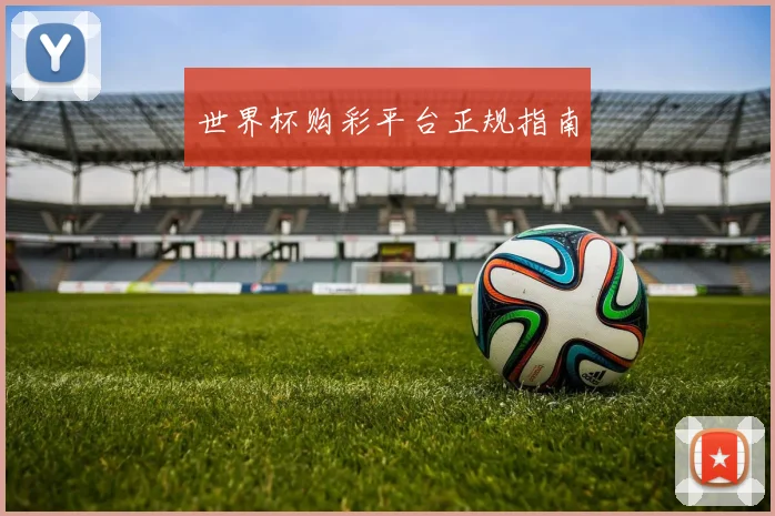 世界杯购彩平台正规指南