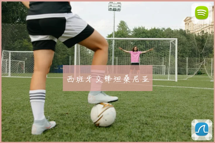 西班牙交锋坦桑尼亚