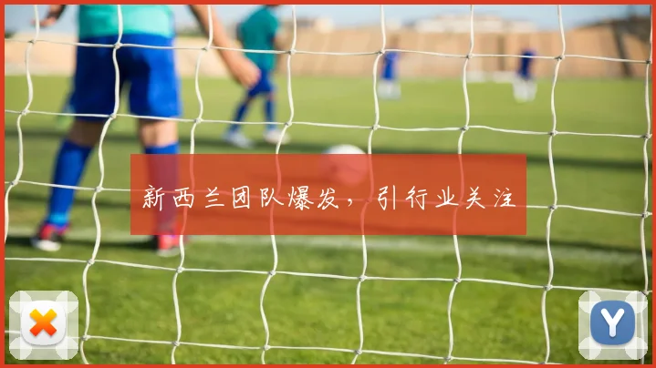 新西兰团队爆发，引行业关注
