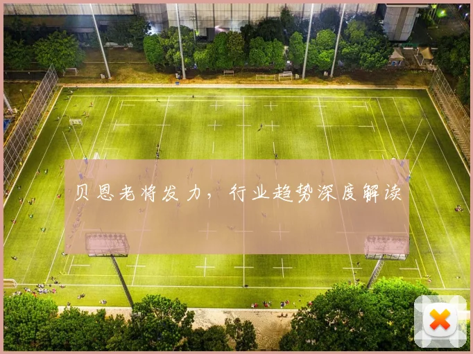 贝恩老将发力，行业趋势深度解读
