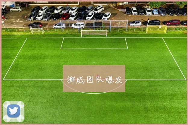 挪威团队爆发