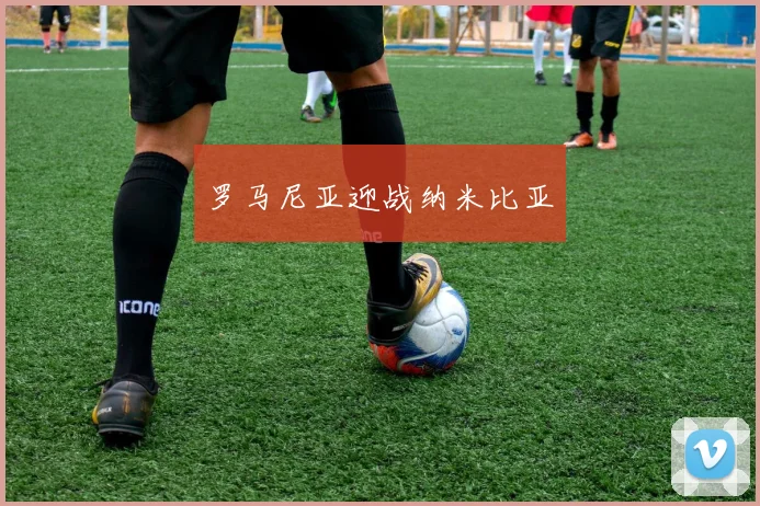罗马尼亚迎战纳米比亚