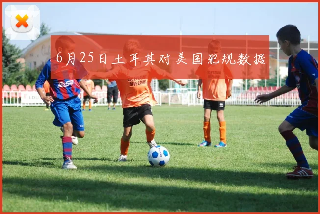 6月25日土耳其对美国犯规数据