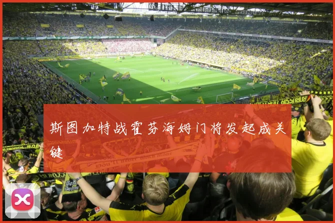 斯图加特战霍芬海姆门将发起成关键