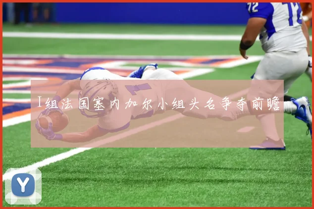 I组法国塞内加尔小组头名争夺前瞻